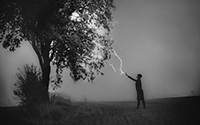 El bosque imaginado